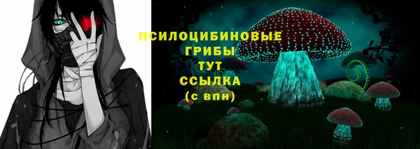 бошки Новозыбков