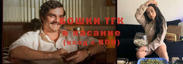 гашик Новодвинск