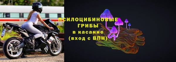 бошки Новозыбков