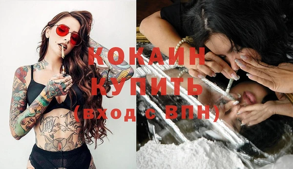 бошки Новозыбков