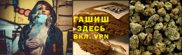 гашик Новодвинск