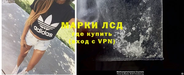 гашик Новодвинск