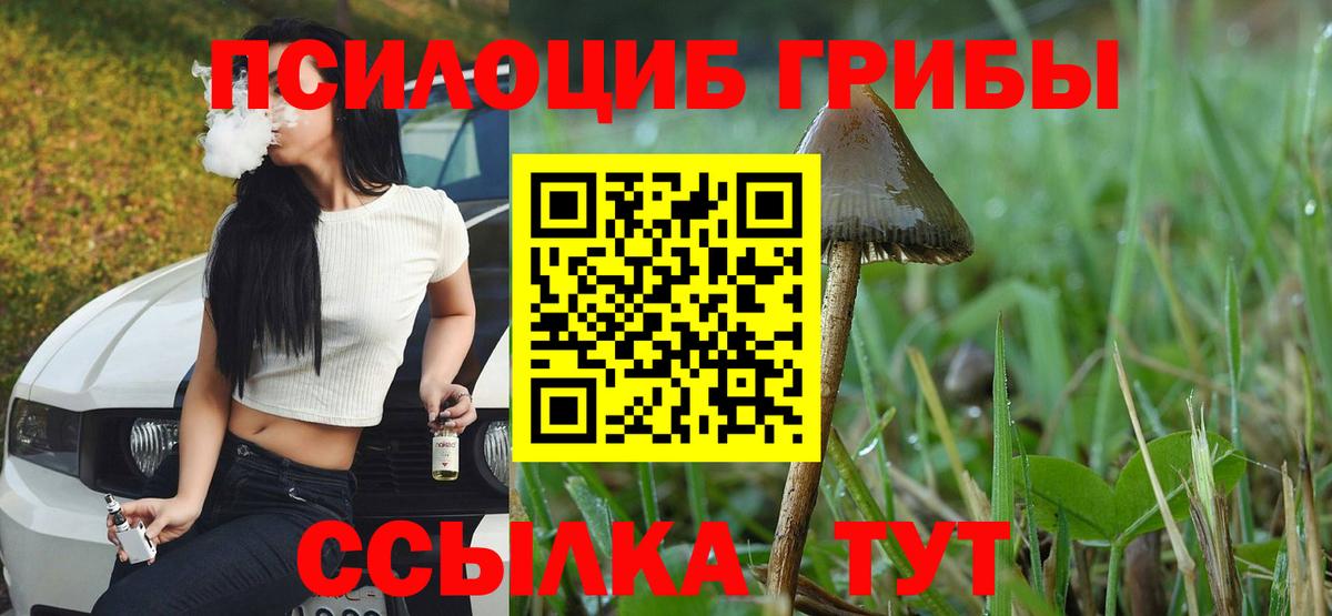 цена   Бугуруслан  Галлюциногенные грибы MAGIC MUSHROOMS  Псилоцибиновые грибы прущие грибы 