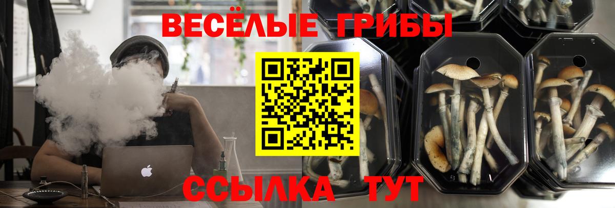 Галлюциногенные грибы GOLDEN TEACHER Бугуруслан