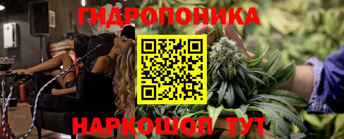 Канабис сатива Бугуруслан