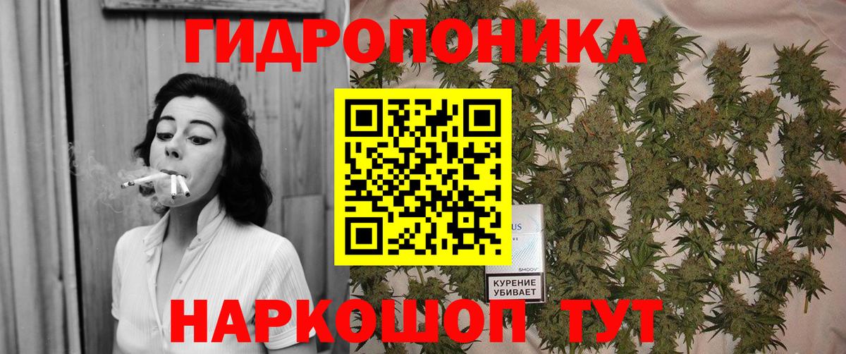 Бугуруслан  Бошки Шишки конопля  Конопля план  Вход с VPN 